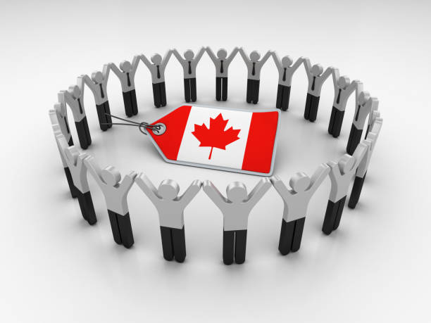 Localizing Your Ad Campaigns: Leveraging Google Ads for Local Reach in Canadian Cities